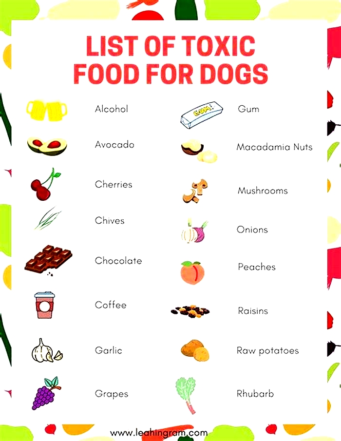 Are any fruits toxic to dogs