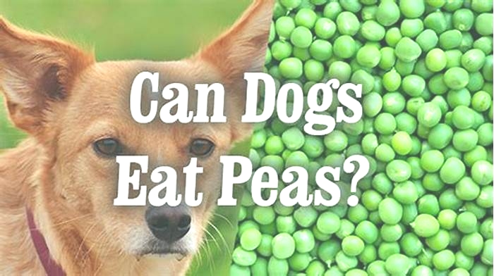 Are peas good for dogs