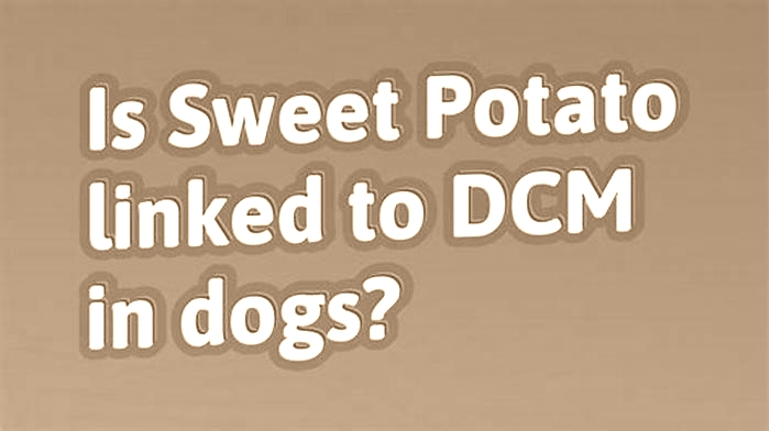 Are sweet potatoes linked to DCM in dogs