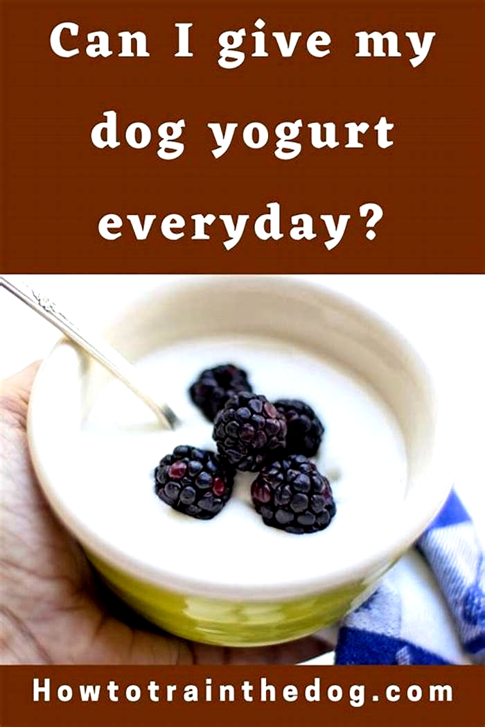 Can I give my dog Greek yogurt every day?