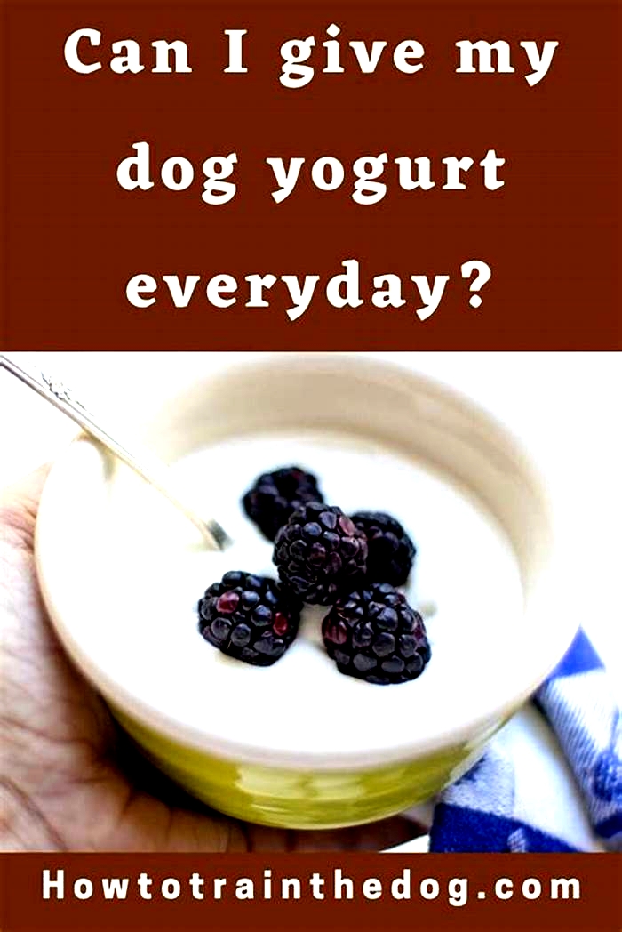 Can I give my dog plain Greek yogurt everyday?