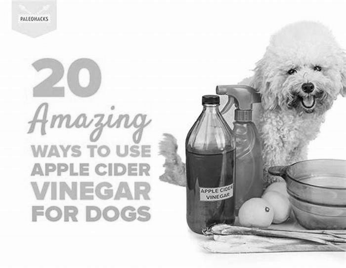 Can I put apple cider vinegar in my dogs water everyday?