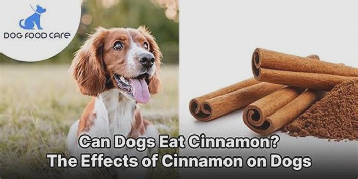 Can I sprinkle cinnamon on my dog's food?