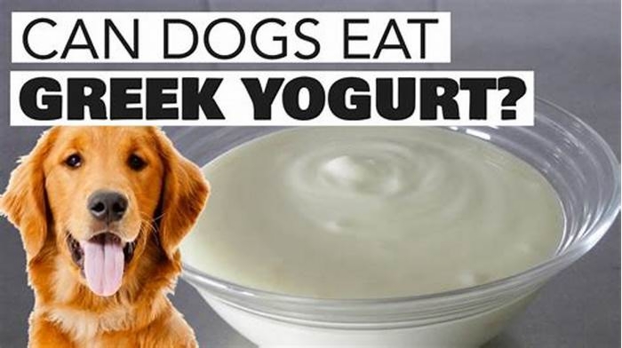 Can dogs eat Greek yogurt?