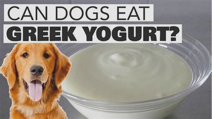 Can you mix Greek yogurt with dog food?