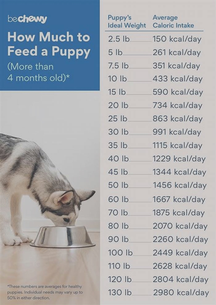 Can you overfeed a 8 week old puppy?