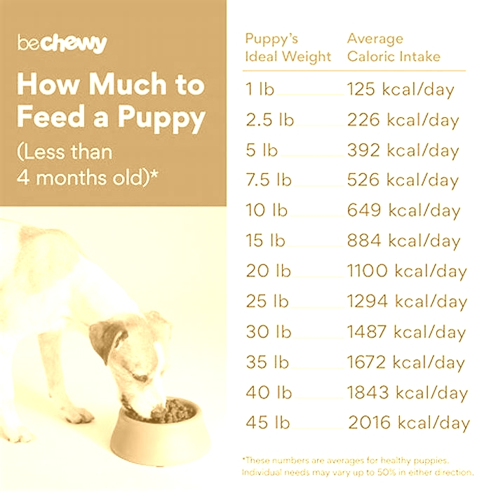 Do puppies need milk after 6 weeks?