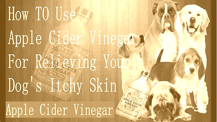 Does apple cider vinegar help with dog s itchy skin