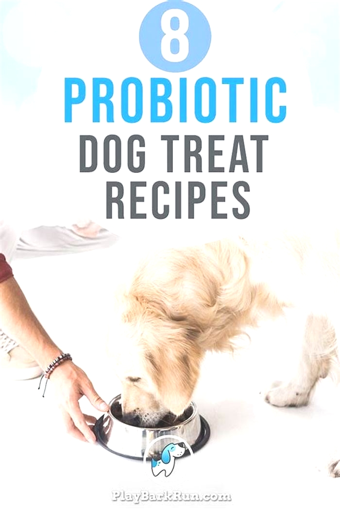 How do I make probiotics for my dog?