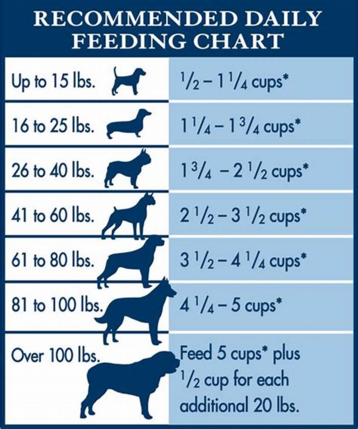 How long do you feed Blue Buffalo puppy food?