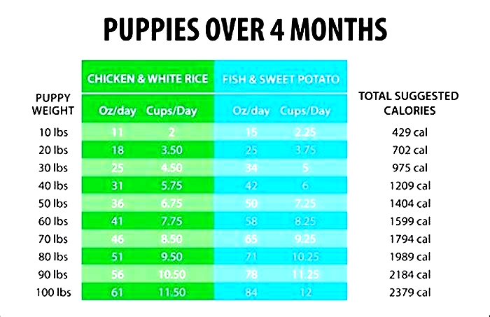 How many cups a day should a 4 month old puppy eat?