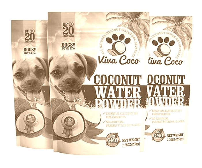 How much coconut water for dogs per day