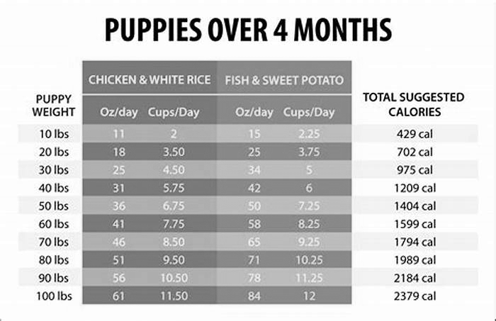 How much to feed a puppy chart