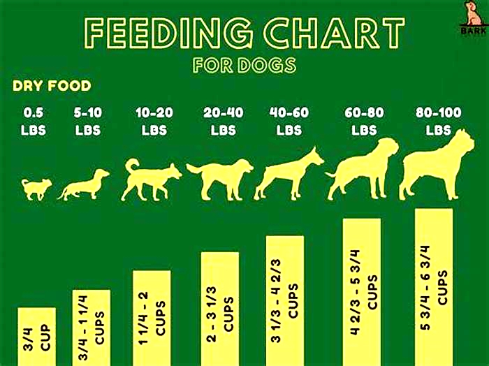 How much wet food should I feed my 50 pound dog