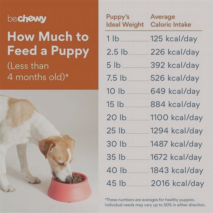 How much wet food should I mix with dry food for my puppy?