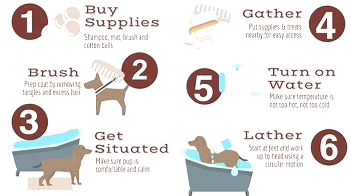 How often should you bathe a puppy?