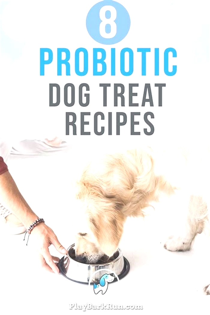 How to make homemade probiotics for dogs?