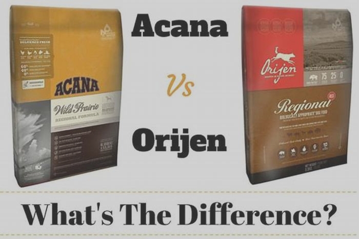 Is Acana owned by ORIJEN