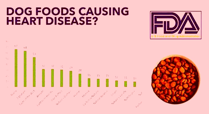 Is Fromm dog food linked to heart disease