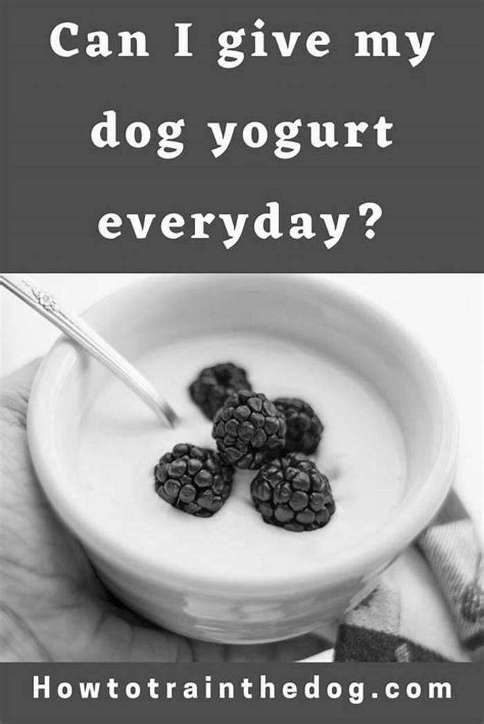 Is Greek yogurt good for dogs