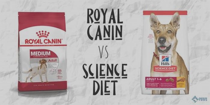 Is Hills or Royal Canin better?