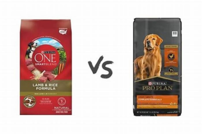 Is Pro Plan better than Purina