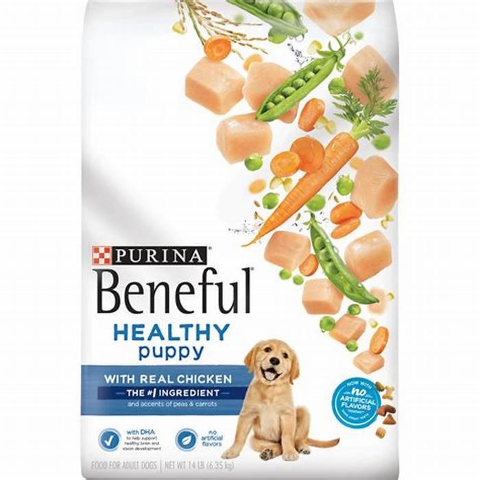 Is Purina Beneful good for dogs?