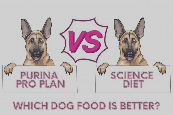 Is Purina Pro Plan better than Science Diet?