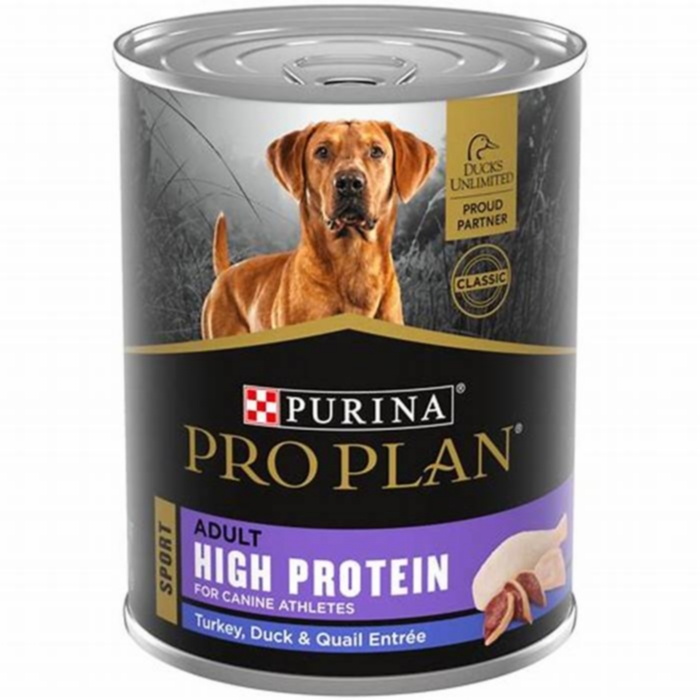 Is Purina wet food good for dogs?