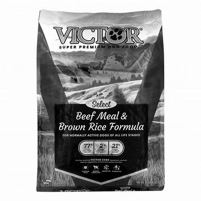 Is Victor dog food back on the shelves?