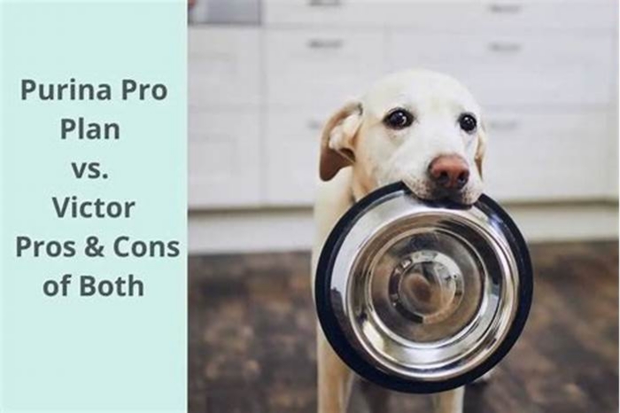 Is Victor or Purina Pro Plan better