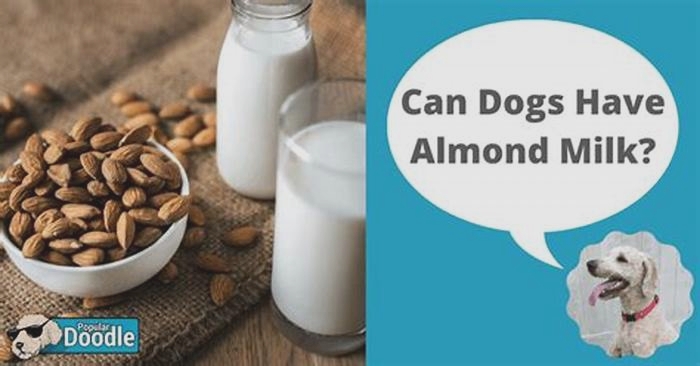 Is almond milk yogurt ok for dogs?