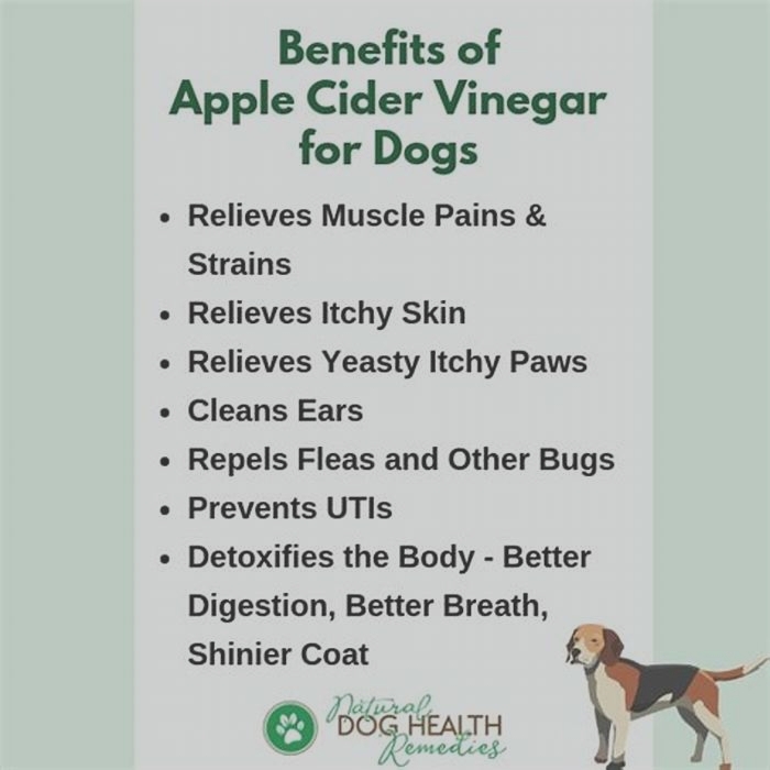 Is apple cider vinegar a probiotic for dogs