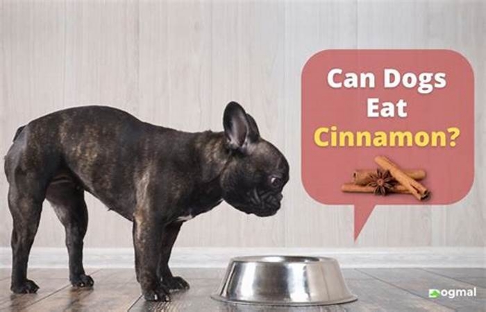 Is cinnamon good for dogs?