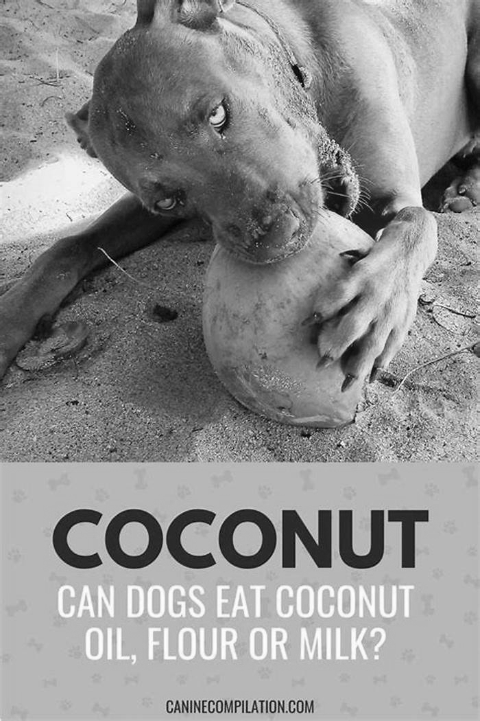 Is coconut milk ok for dogs?