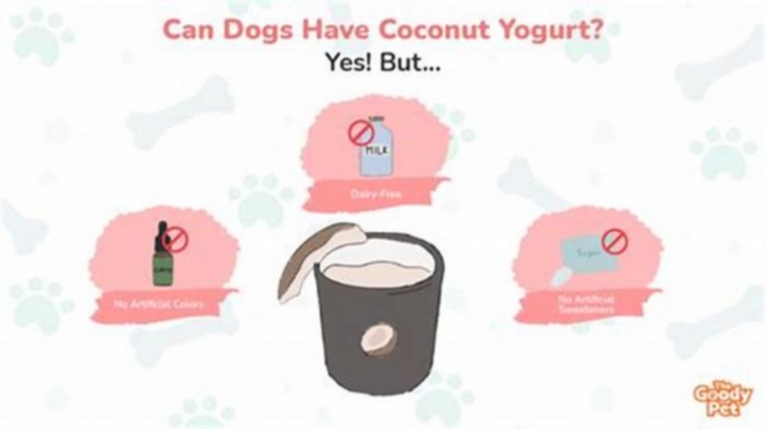 Is coconut yogurt good for dogs