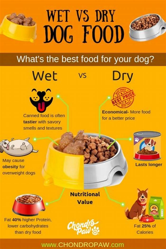 Is it better to give puppies wet or dry food