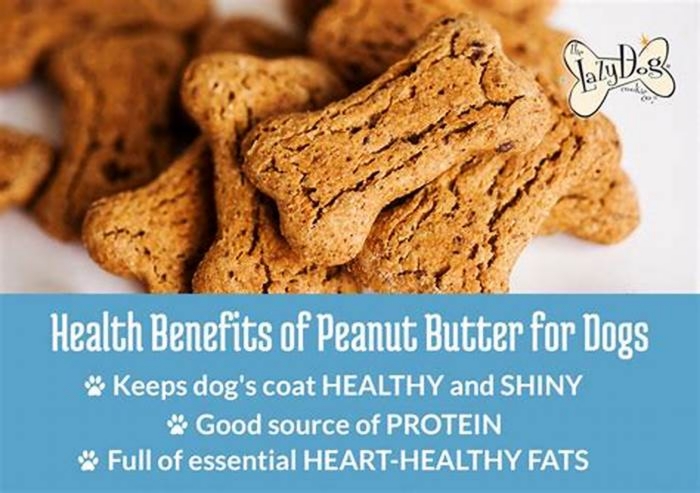 Is peanut butter good for a dog?