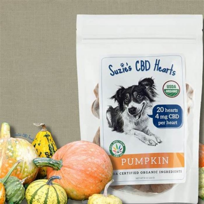 Is pumpkin an anti-inflammatory for dogs?