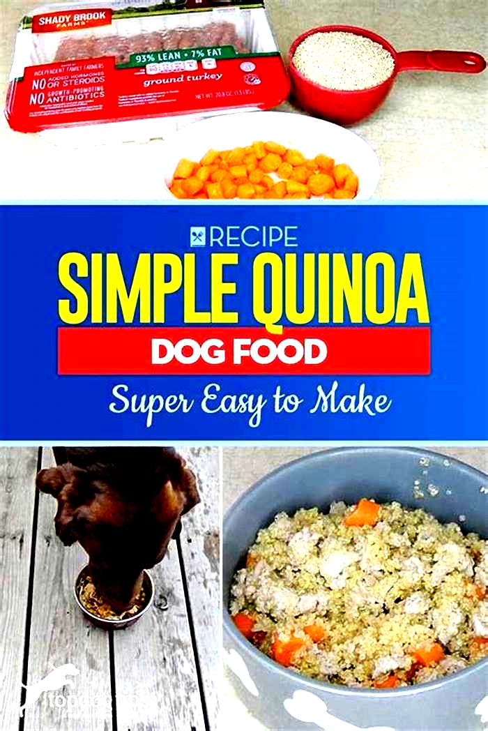 Is quinoa good for dogs