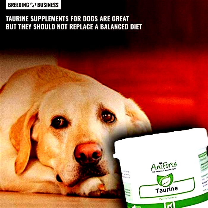 Is taurine good or bad for dogs?