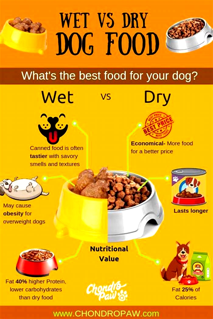 Is wet dog food easier on stomach