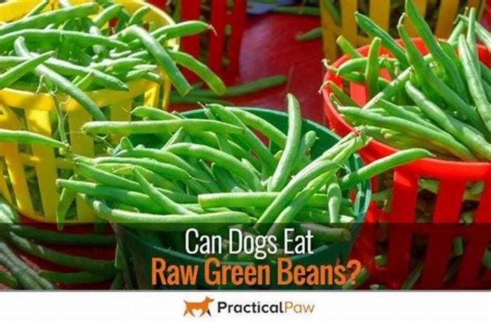 Should dogs eat raw or cooked green beans