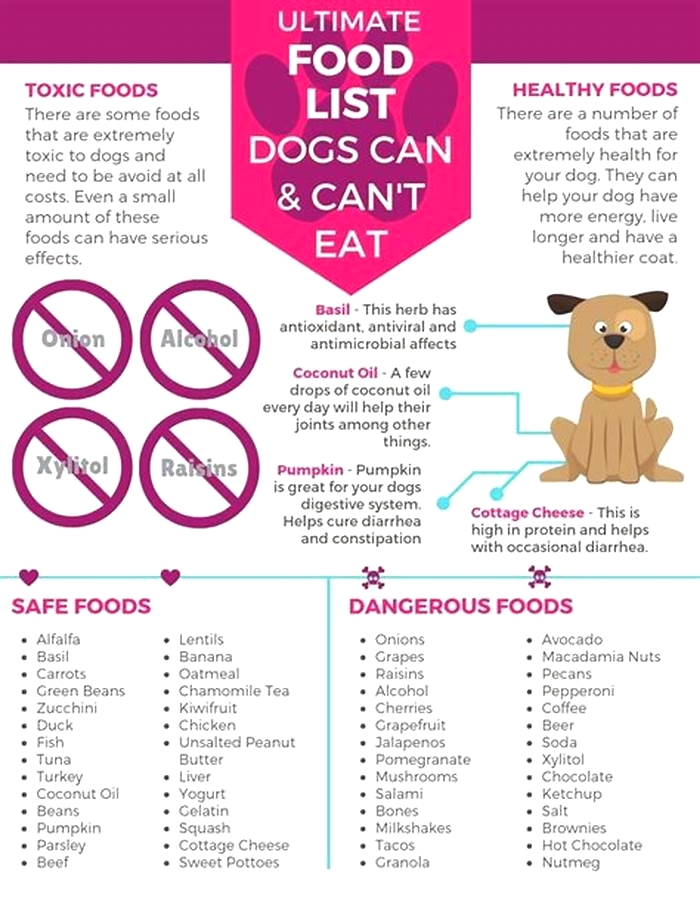 What are 3 foods dogs should not eat