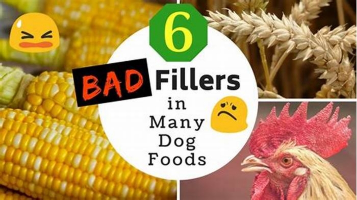 What are bad fillers in dog food?