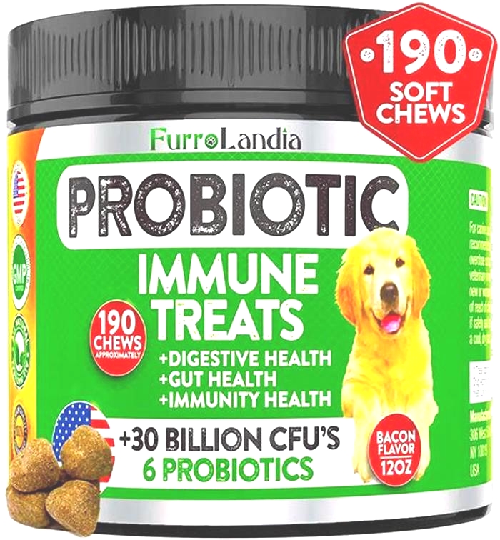 What are home remedy probiotics for dogs?