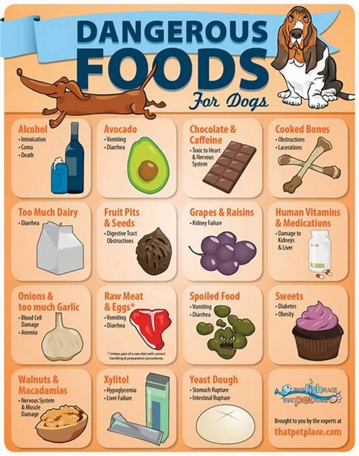 What are the 3 worst foods for dogs