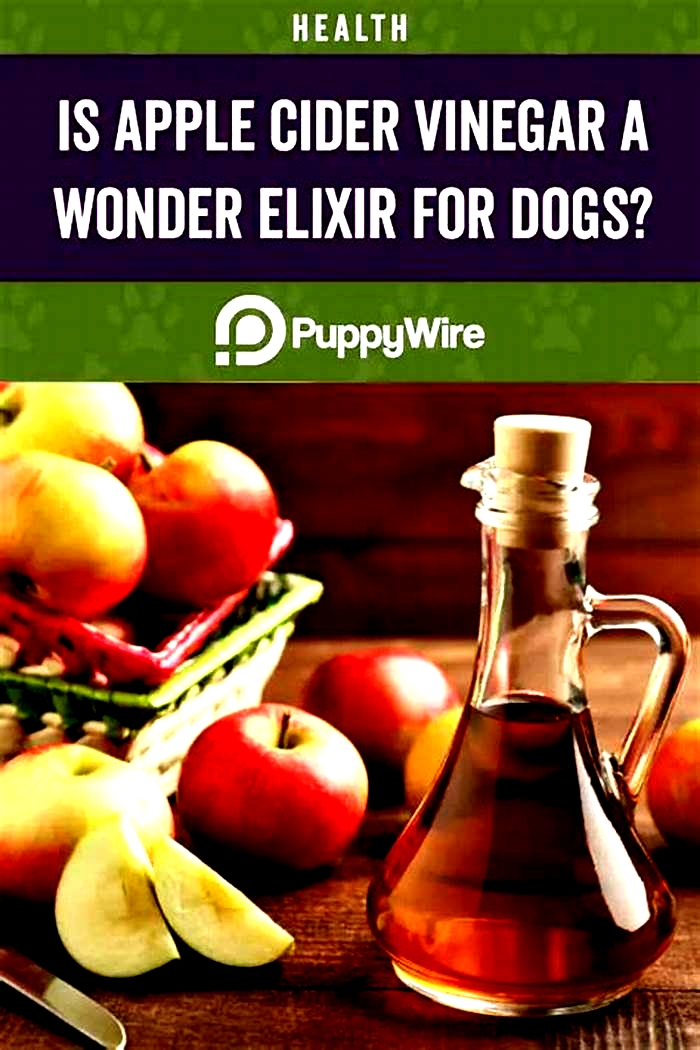 What are the benefits of putting apple cider vinegar in your dog's water?