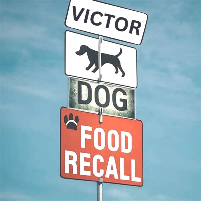 What are the symptoms of the recall on Victor dog food?