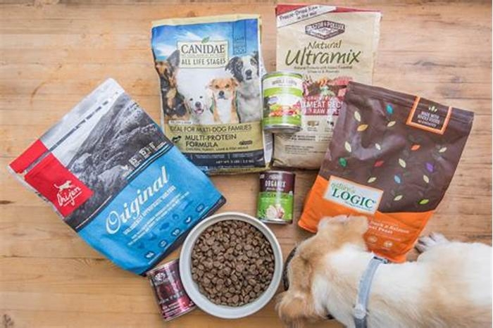 What are the three best dog foods